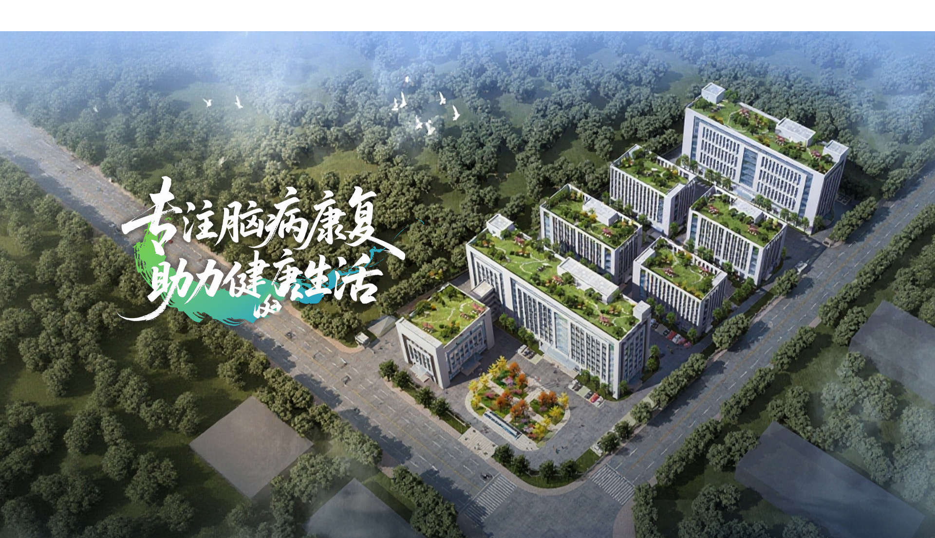 1773108784432663.jpg 333.jpg